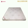 Special mattress bd