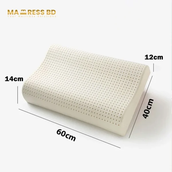 Latex Pillow Exclusive 1