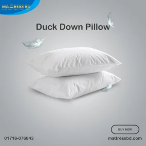 Duck Down Pillow bd