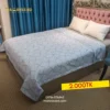 Elegant Shell Comforter