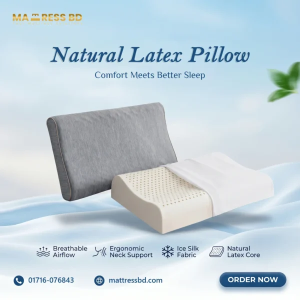 Latex Pillow Exclusive 1