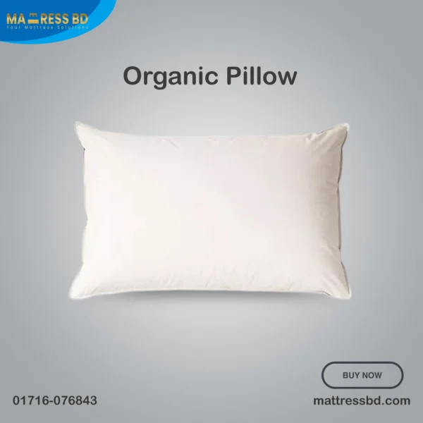 Organic Pillow 1 Organic Pillow