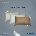 Goose Down Pillow
