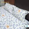 Premium Quality Colorful Reactive Printed Bedsheet for Bedroom Decor