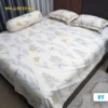 Premium Quality Colorful Reactive Printed Bedsheet for Bedroom Decor